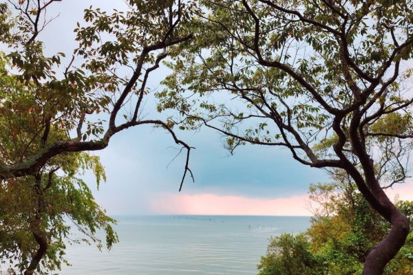 Decorative art prints and photos